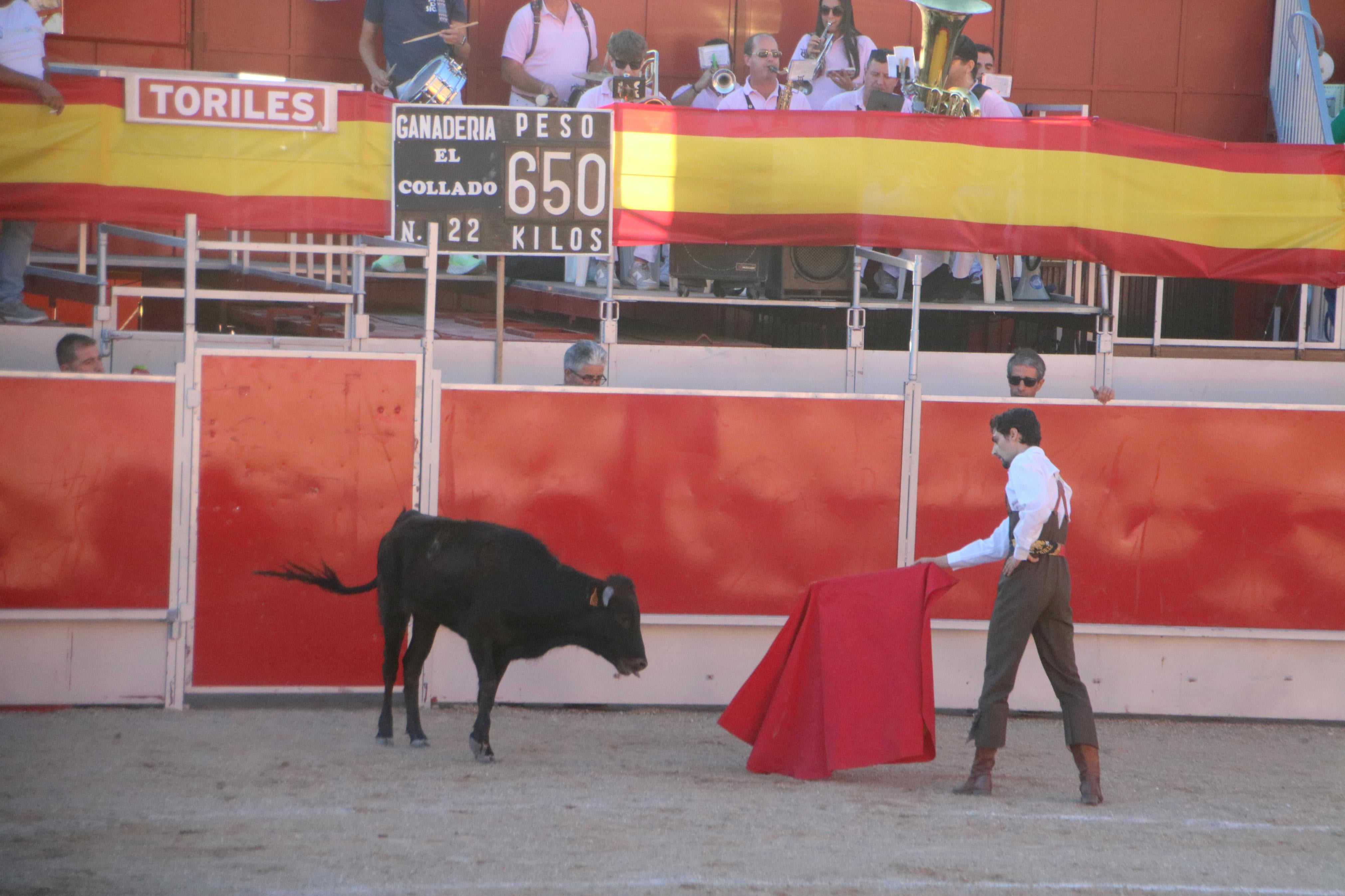 Baltanás celebró tres Festejos Taurinos