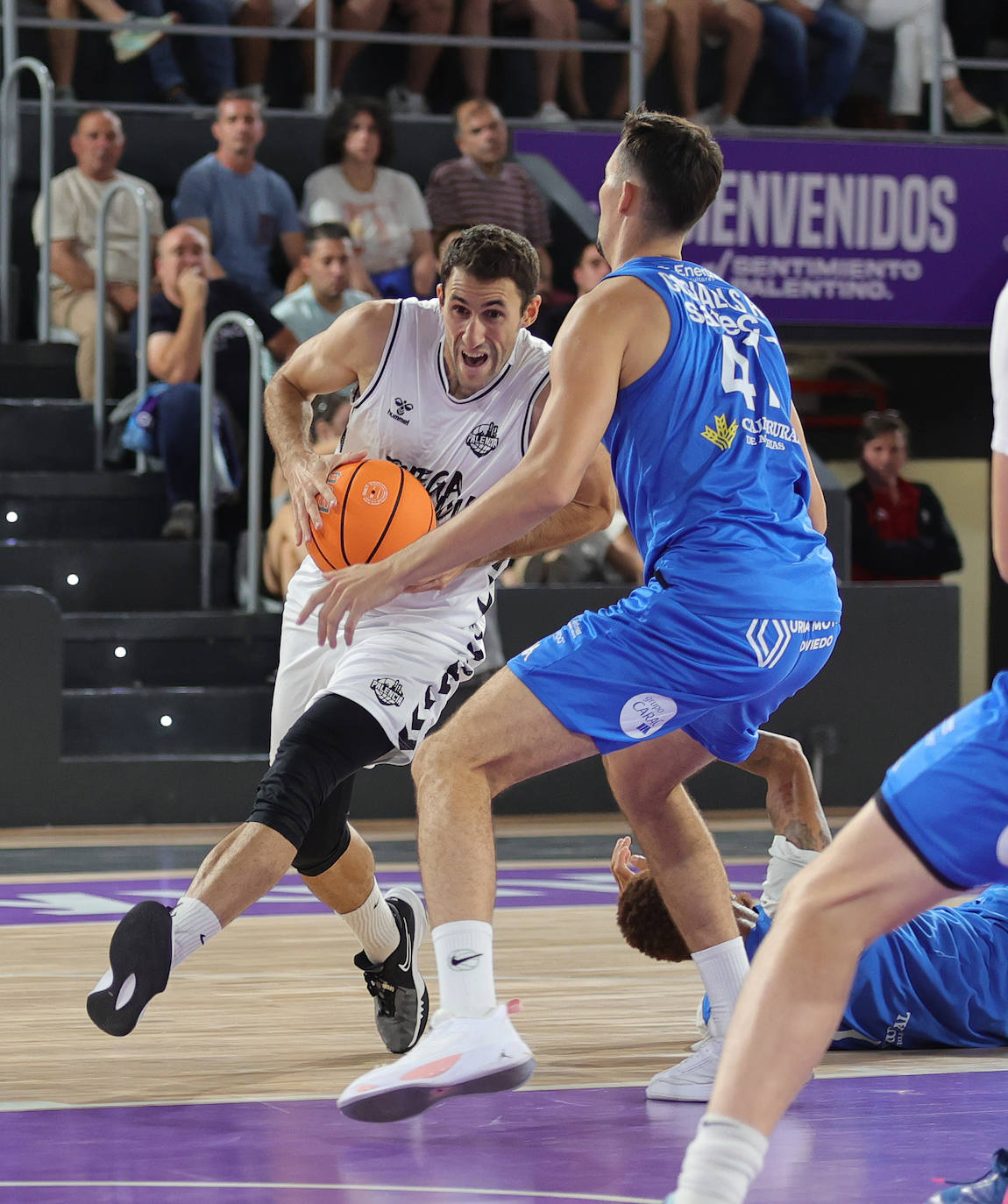 Palencia Baloncesto 87-94 Alimerka Oviedo