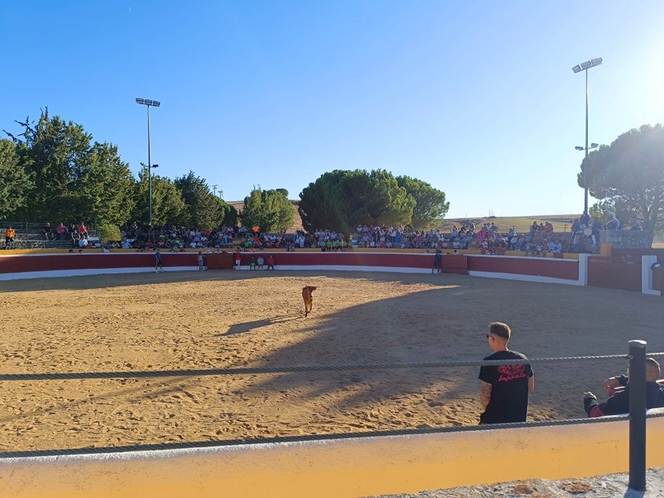 Ampudia se rinde a la Virgen de Alconada