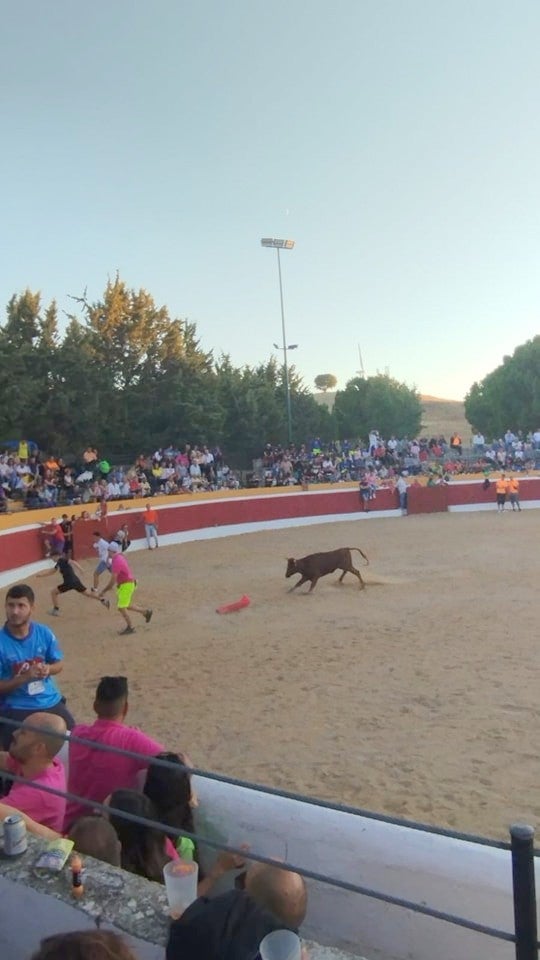 Ampudia se rinde a la Virgen de Alconada