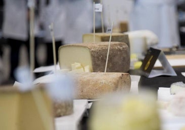 El queso fabricado en Salamanca premiado como el mejor de Castilla y León