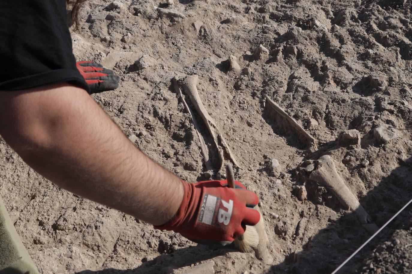 Enterramiento localizado en la excavación de Renedo