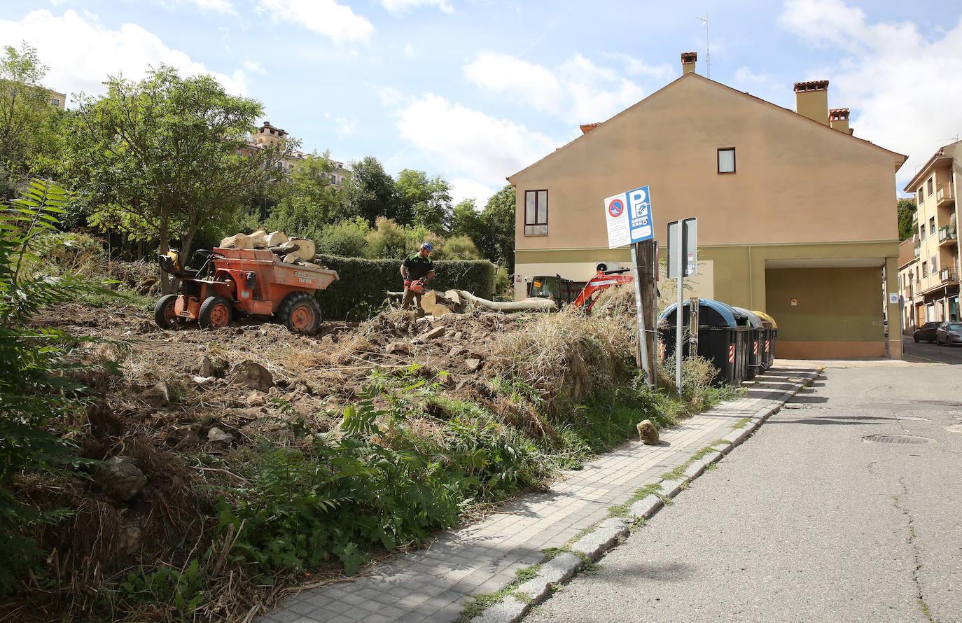 Fotografías del desbroce entre Vía Roma y Los Novillos