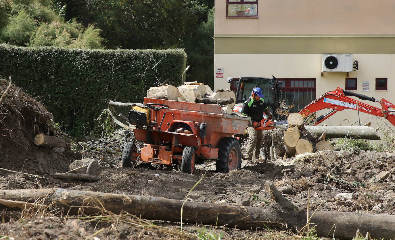 Fotografías del desbroce entre Vía Roma y Los Novillos