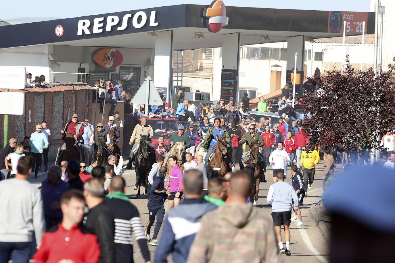 Las imágenes del encierro campero de Arrabal de Portillo