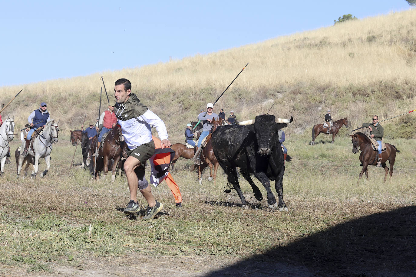 Las imágenes del encierro campero de Arrabal de Portillo