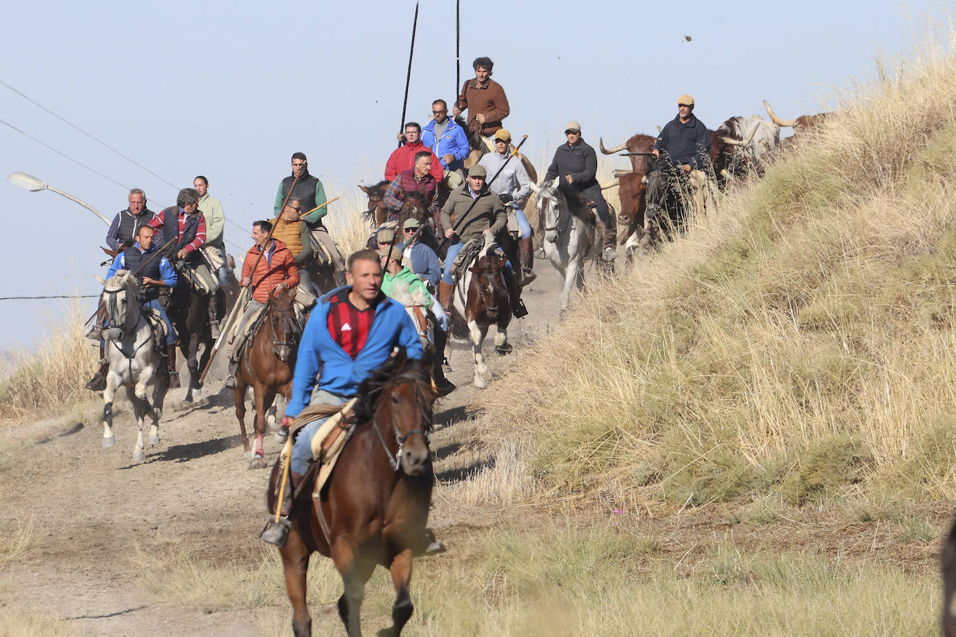 Las imágenes del encierro campero de Arrabal de Portillo