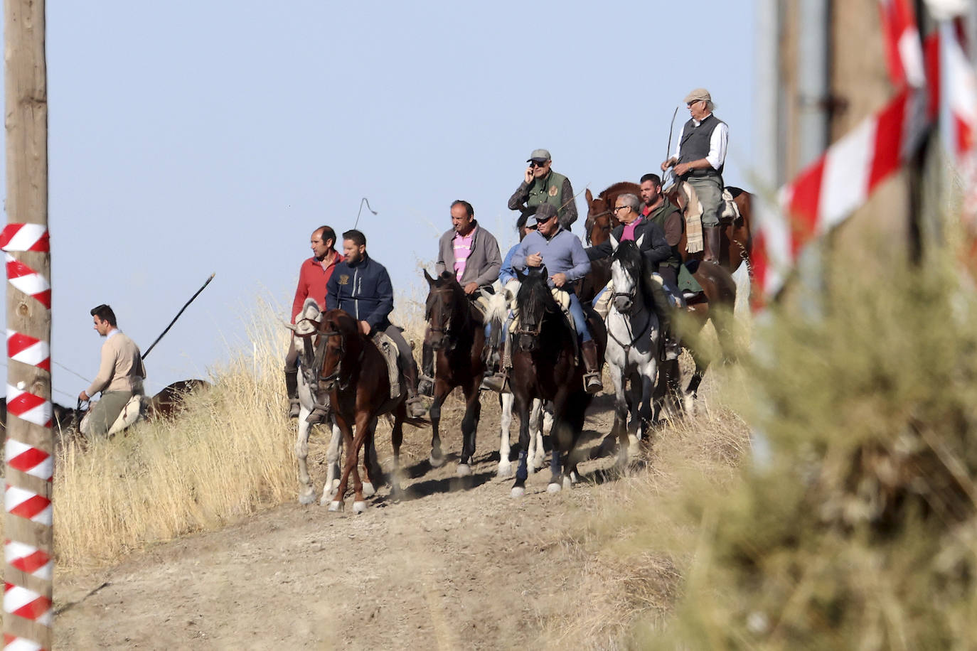 Las imágenes del encierro campero de Arrabal de Portillo