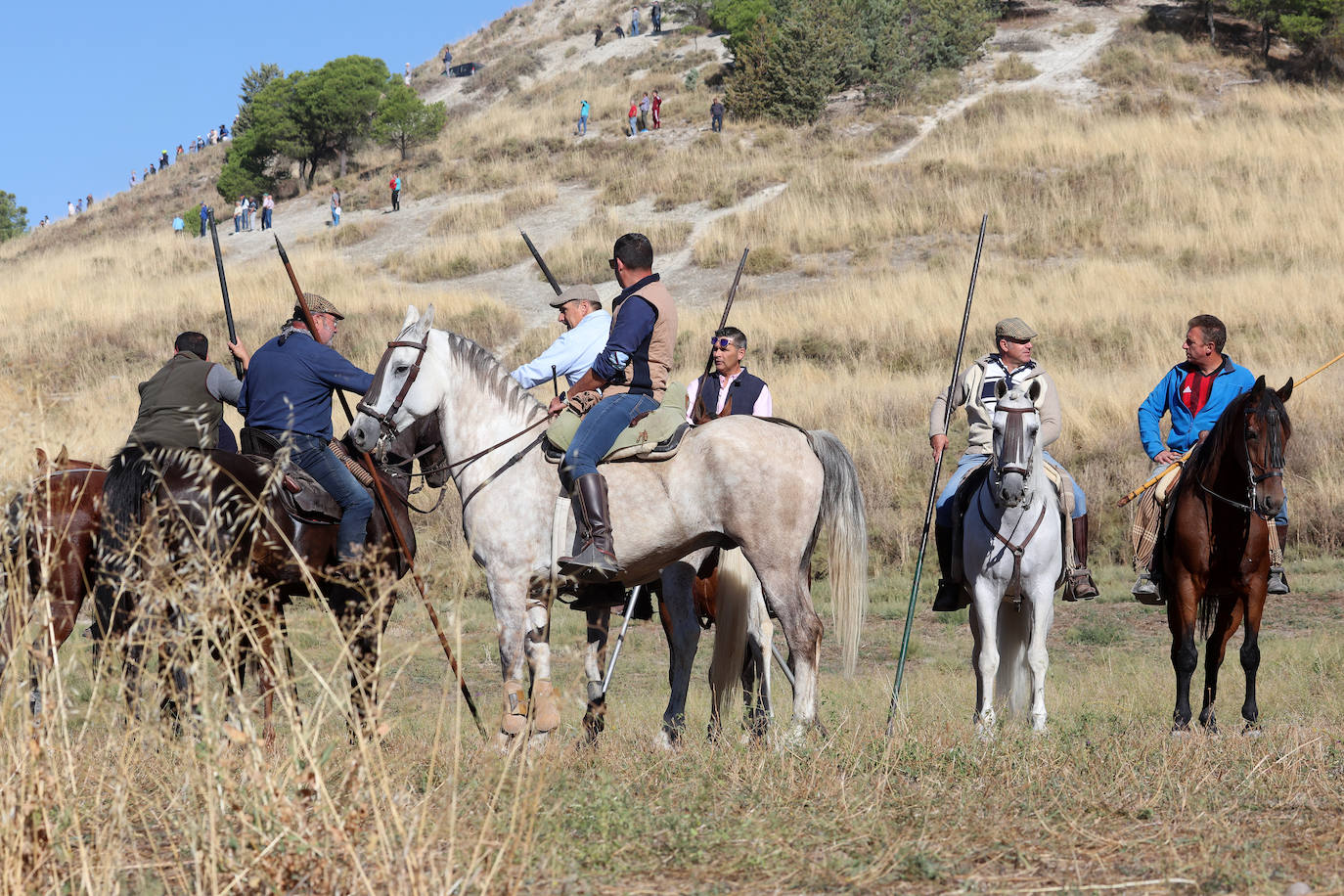 Las imágenes del encierro campero de Arrabal de Portillo