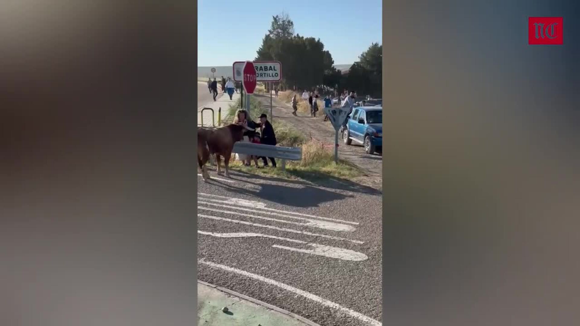 Susto en el encierro campero de Arrabal de Portillo