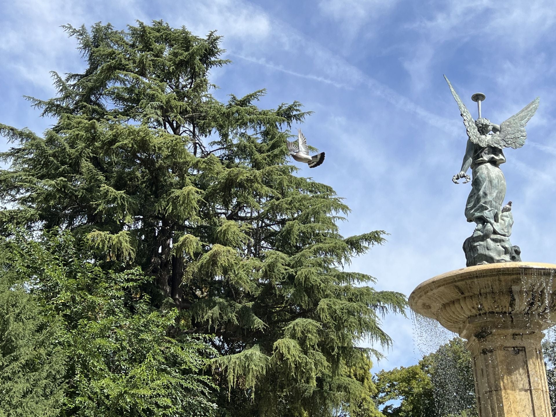 Dos de los árboles más valiosos, un cedro y un abeto, se encuentran junto a la Fuente de la Fama.