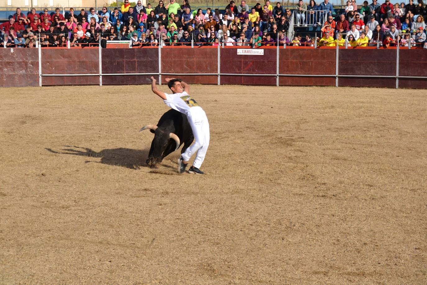 Así lo pasan en Astudillo en las Ferias y Fiestas de la Santa Cruz