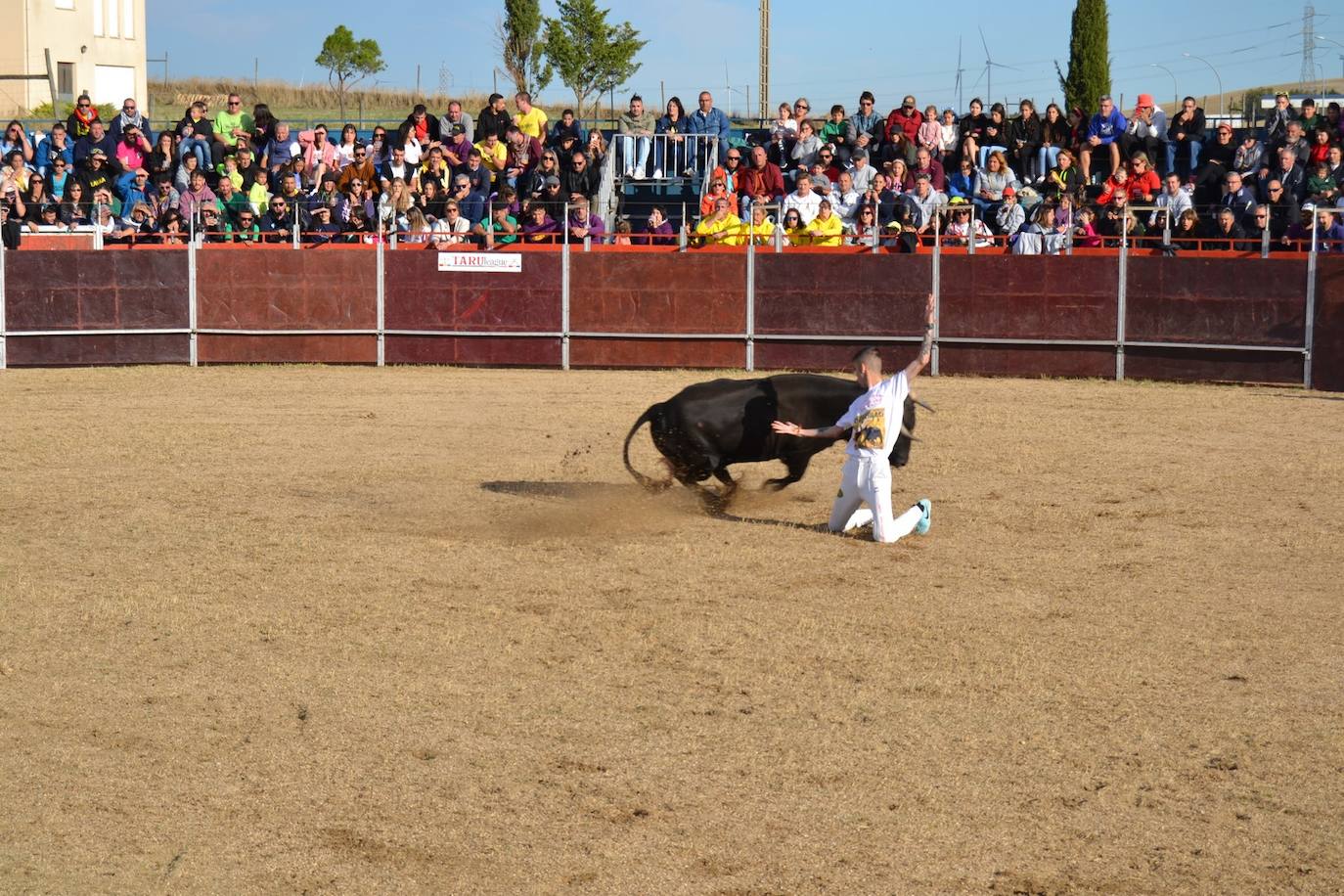 Así lo pasan en Astudillo en las Ferias y Fiestas de la Santa Cruz