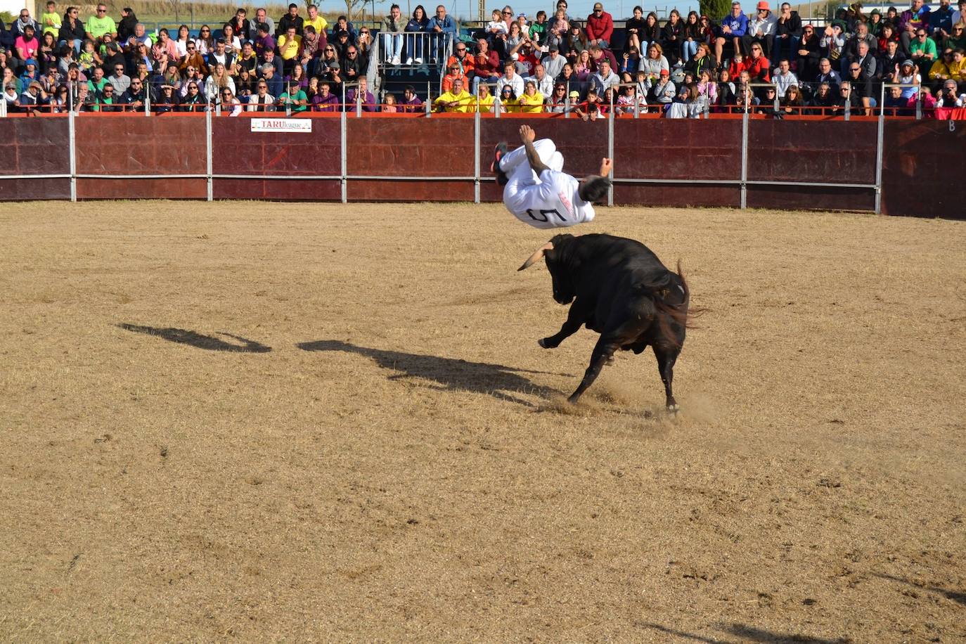 Así lo pasan en Astudillo en las Ferias y Fiestas de la Santa Cruz