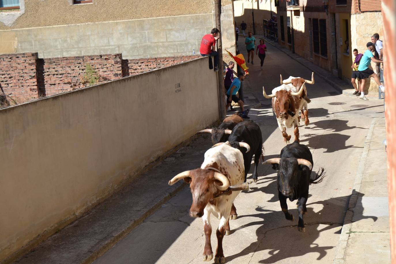 Así lo pasan en Astudillo en las Ferias y Fiestas de la Santa Cruz