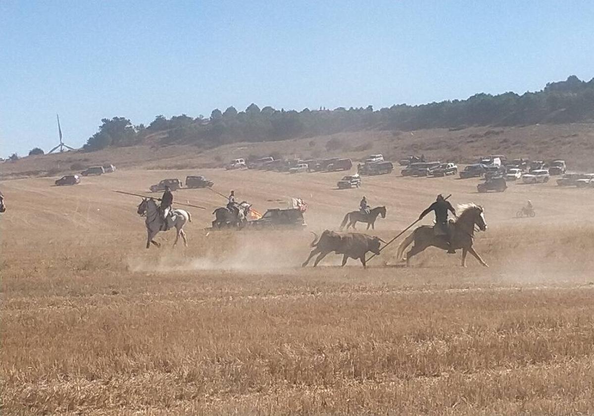 Uno de los tres toros entrando a un caballo