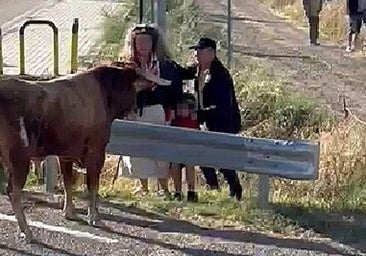 Susto en Arrabal de Portillo al fijarse un toro en un niño resguardado tras un guardarraíl