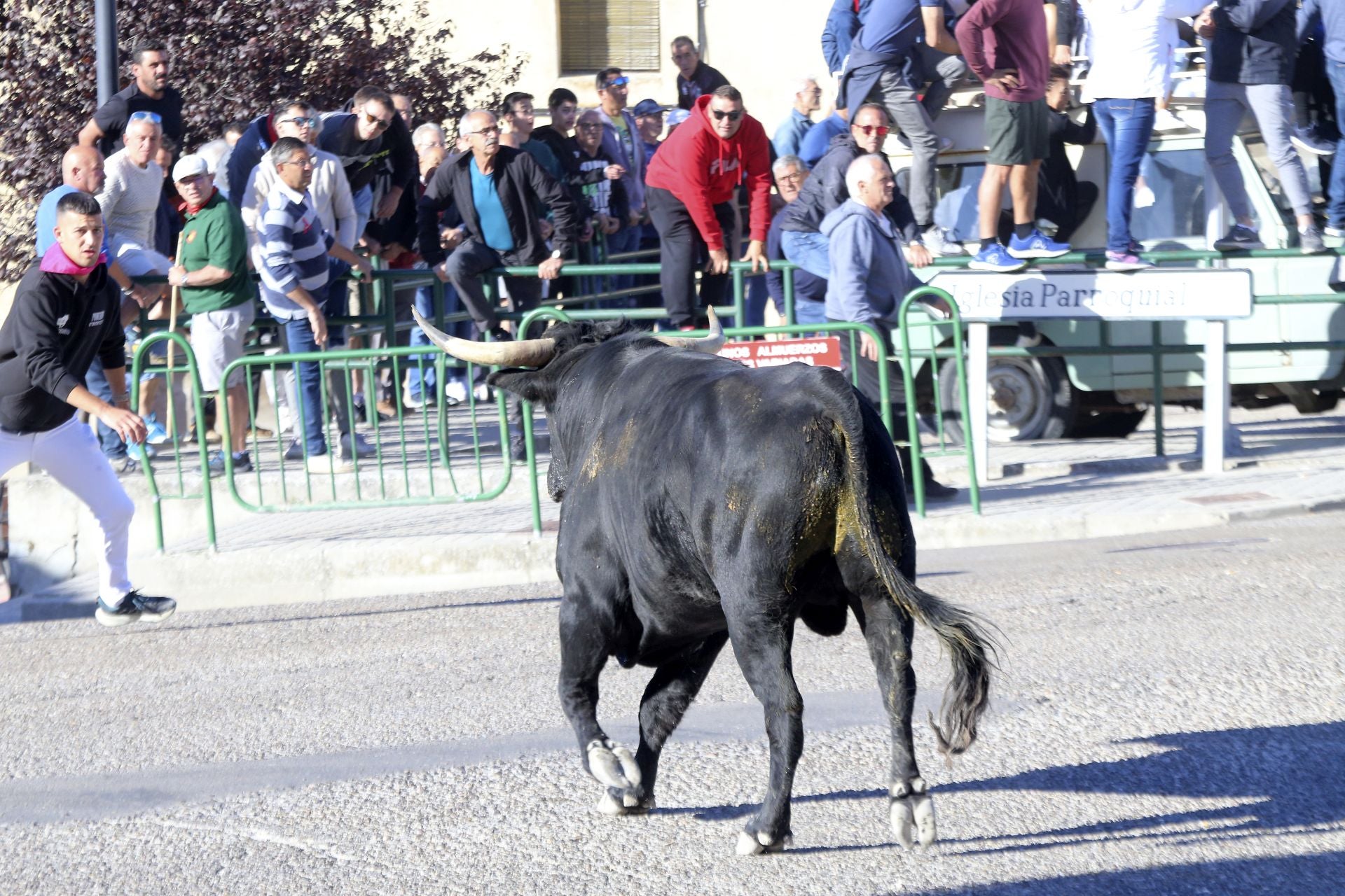 El último encierro de Arrabal, en imágenes