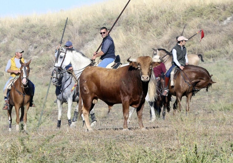 El último encierro de Arrabal, en imágenes