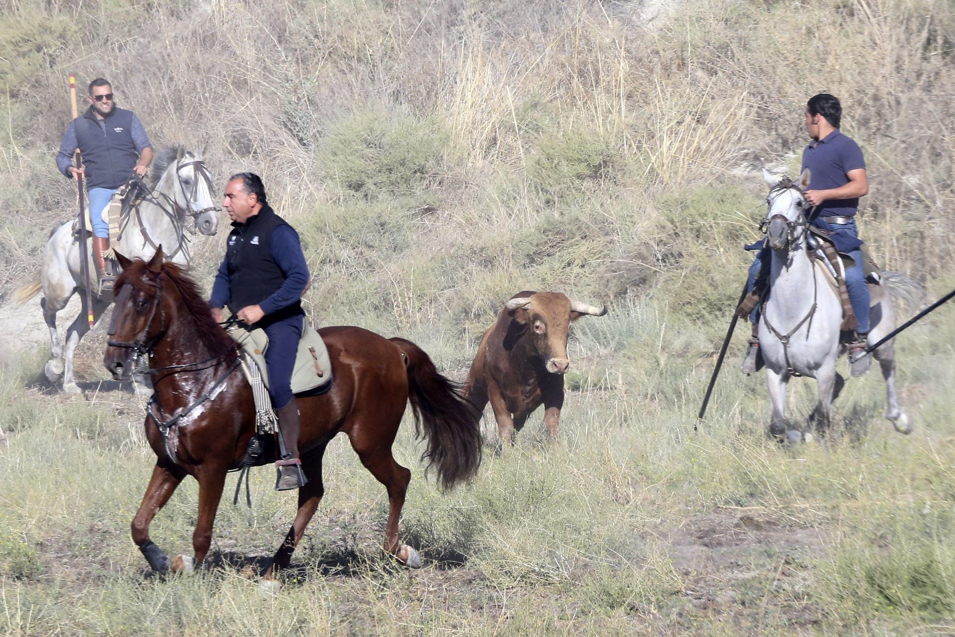 El último encierro de Arrabal, en imágenes