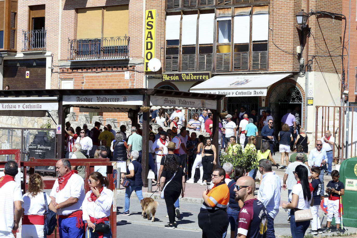 Las imágenes del toro del cajón de Tordesillas