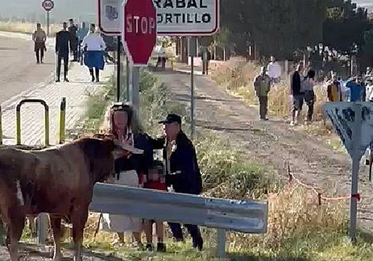 El toro, a tan solo unos centímetros de un tres personas, una de ellas menor, el encierro de Arrabal.