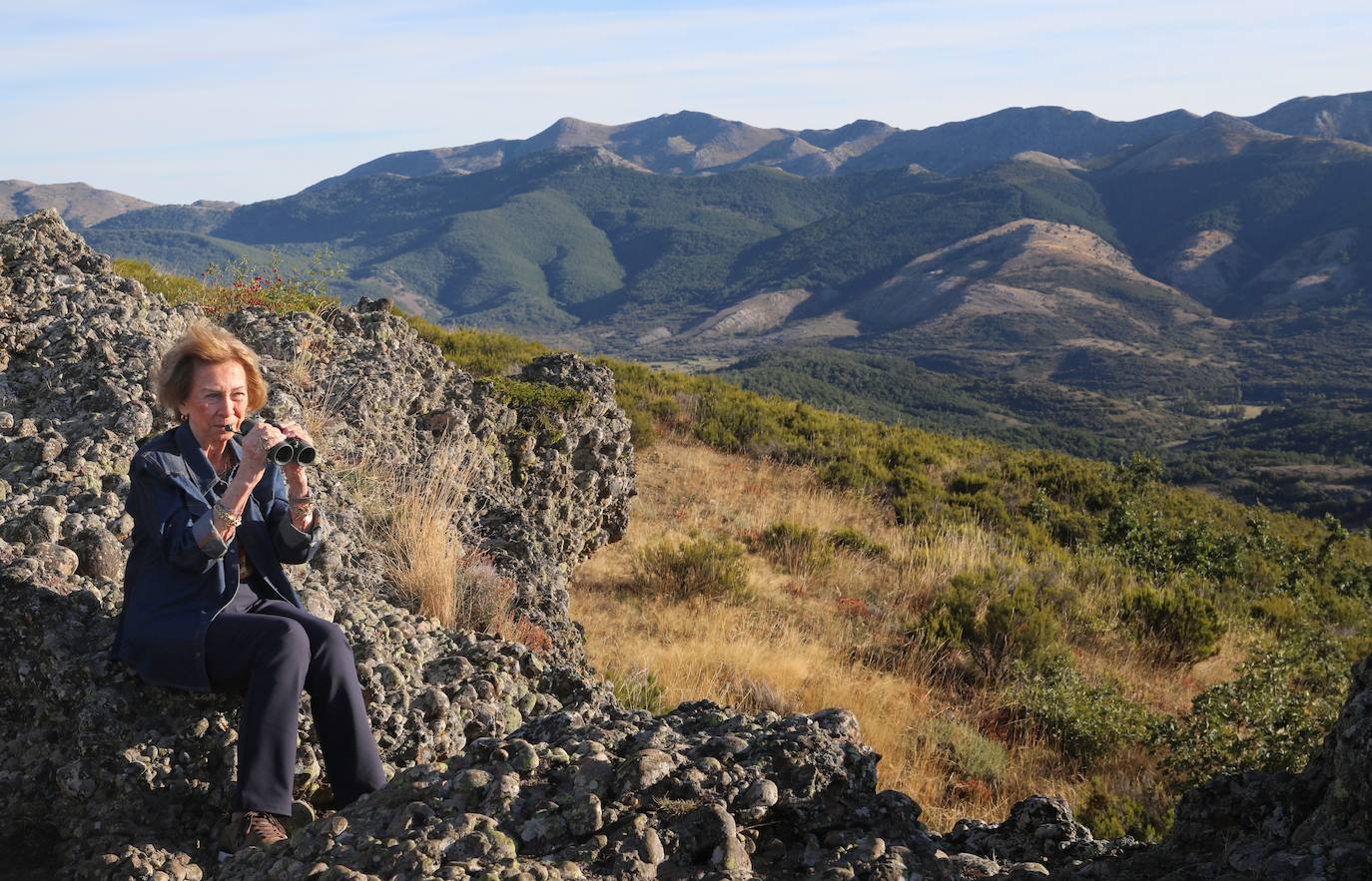 La reina emérita Doña Sofía, de nuevo en Palencia