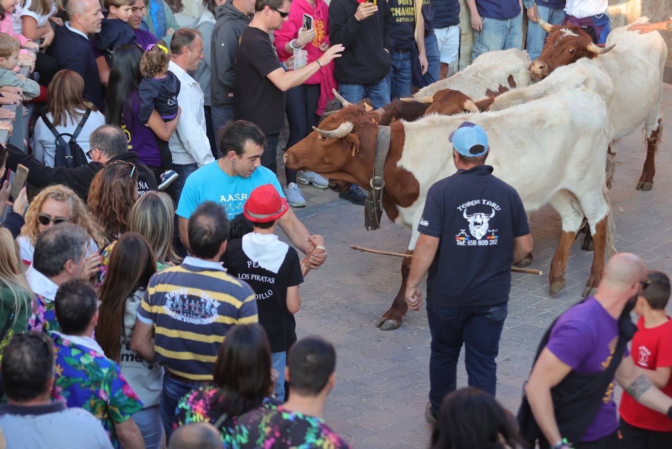 Relevo generacional por la pasión taurina en Astudillo