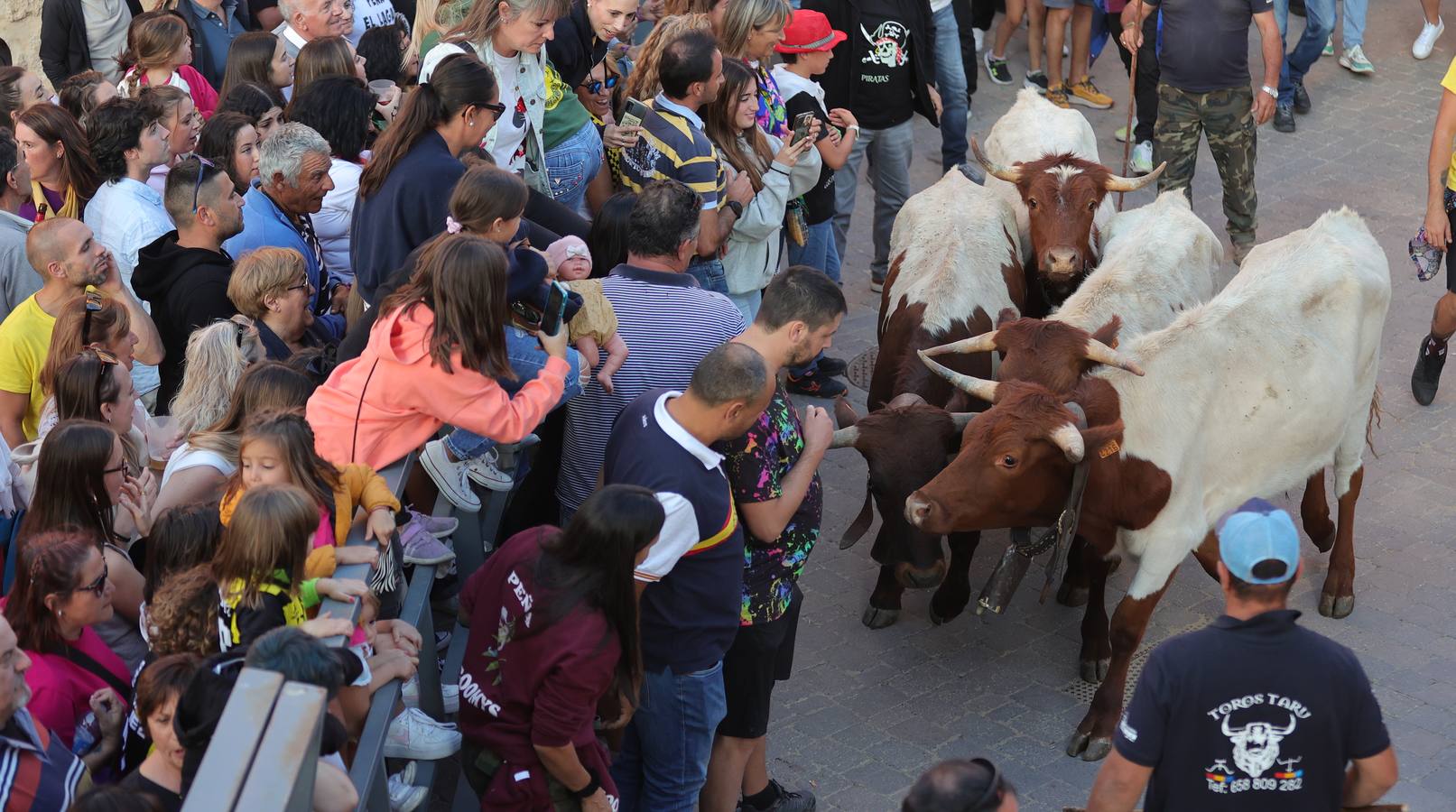 Relevo generacional por la pasión taurina en Astudillo