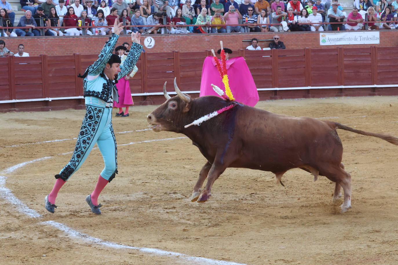 La novillada en Tordesillas, en imágenes