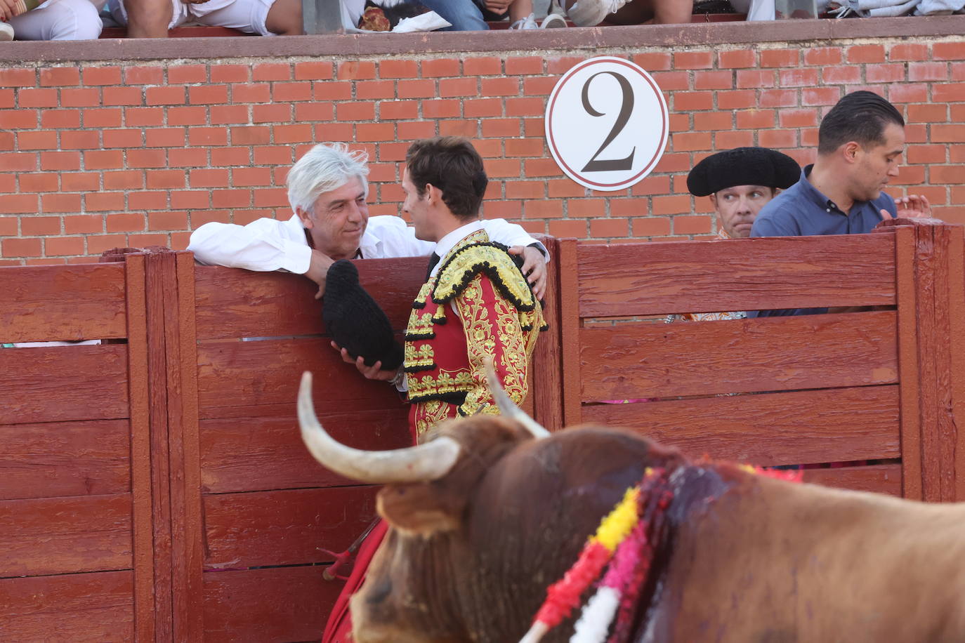 La novillada en Tordesillas, en imágenes