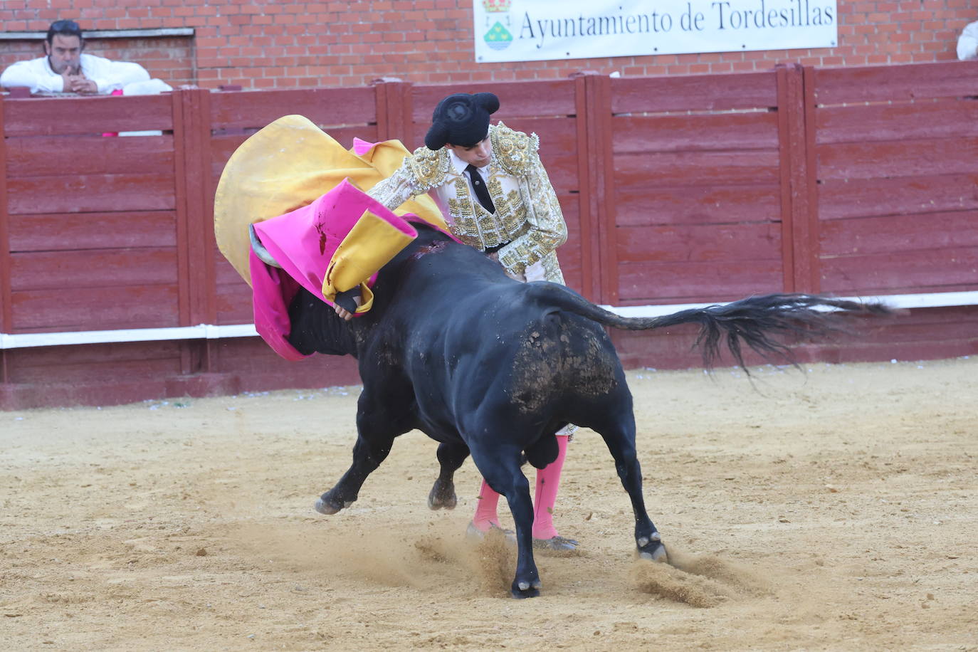 La novillada en Tordesillas, en imágenes