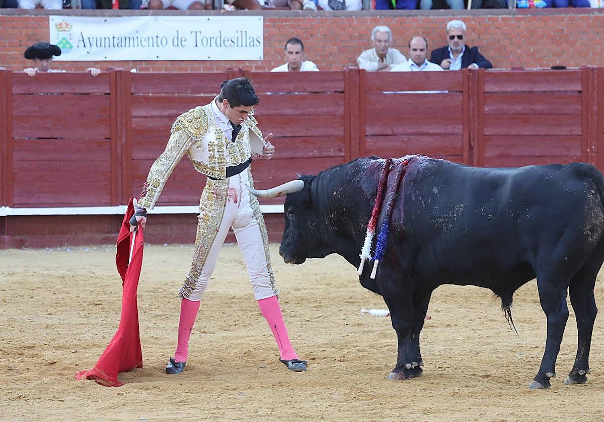 La novillada en Tordesillas, en imágenes