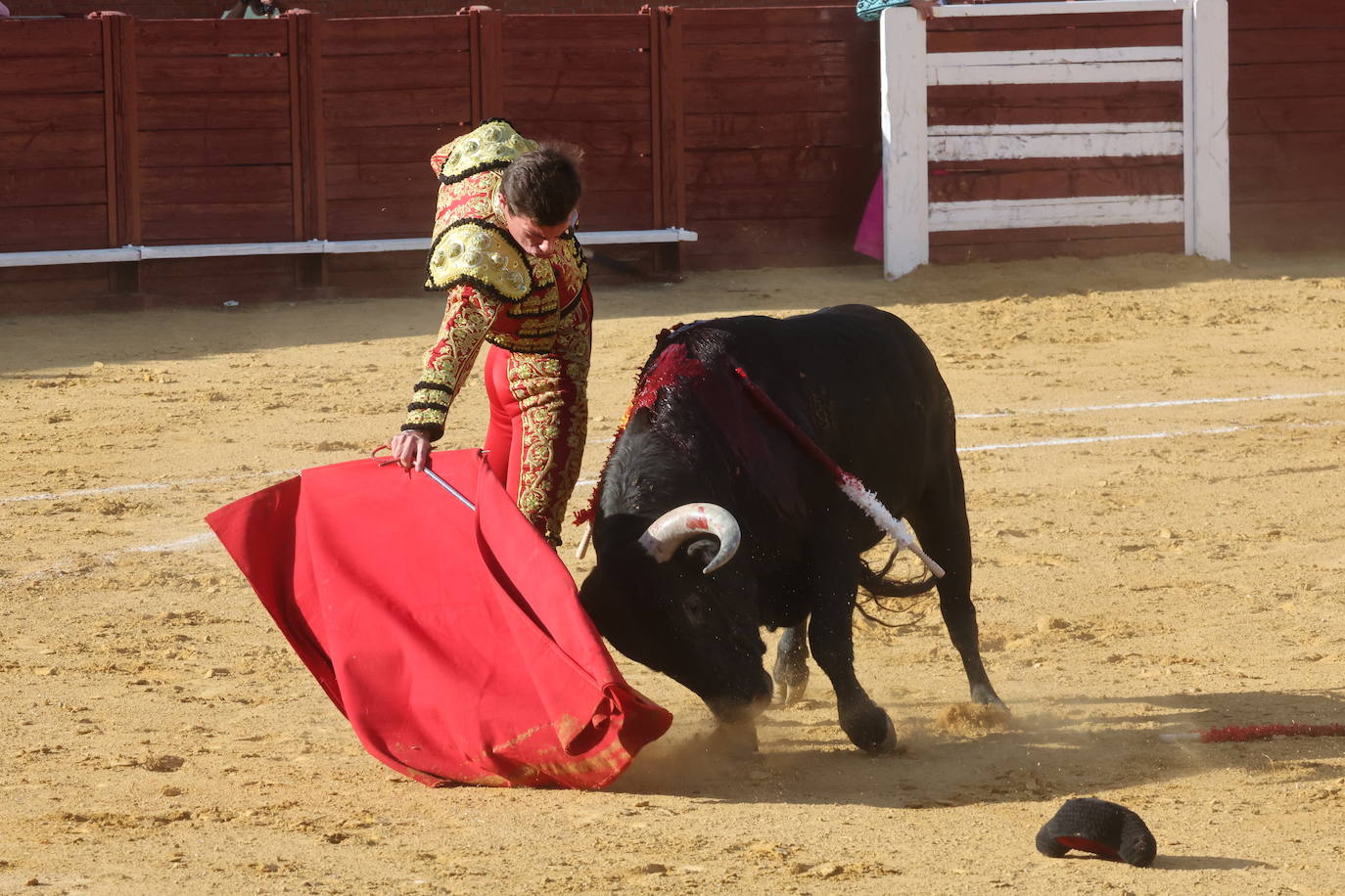La novillada en Tordesillas, en imágenes