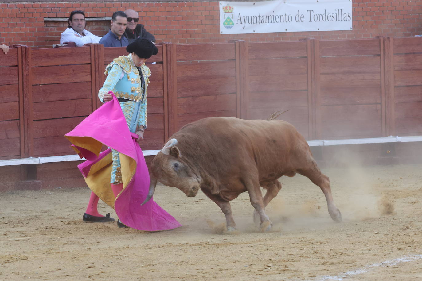 La novillada en Tordesillas, en imágenes