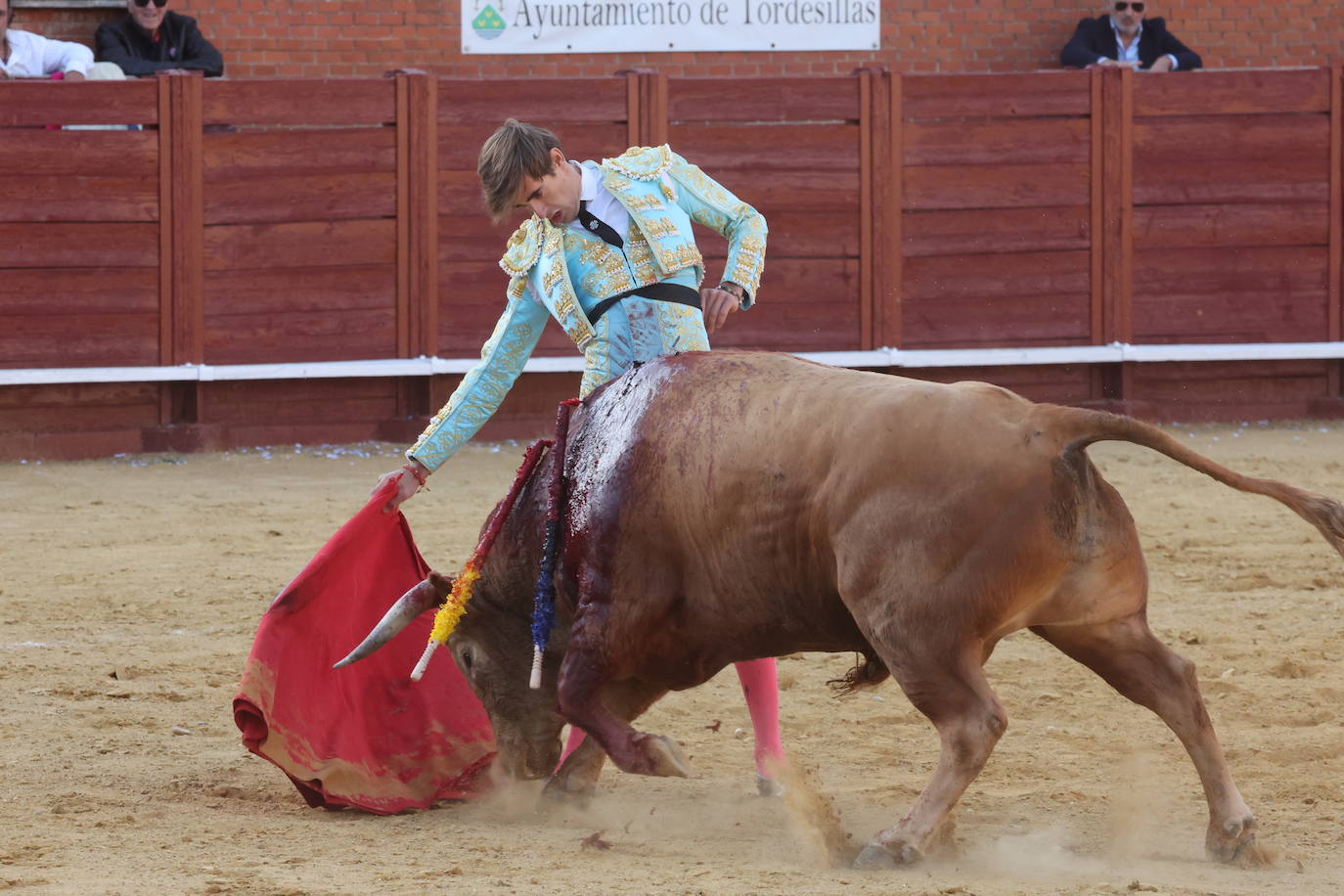 La novillada en Tordesillas, en imágenes