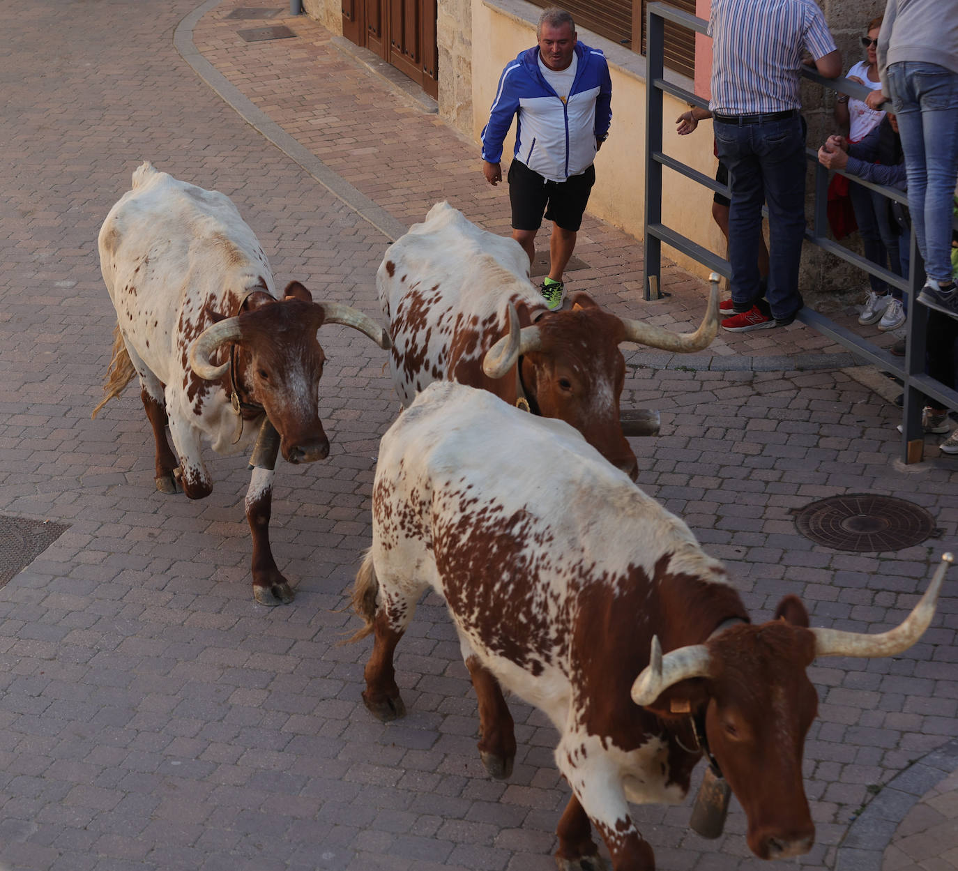 Astudillo vive el Toro del Pueblo