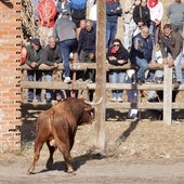 Así hemos narrado el Toro de la Vega 2024 en directo