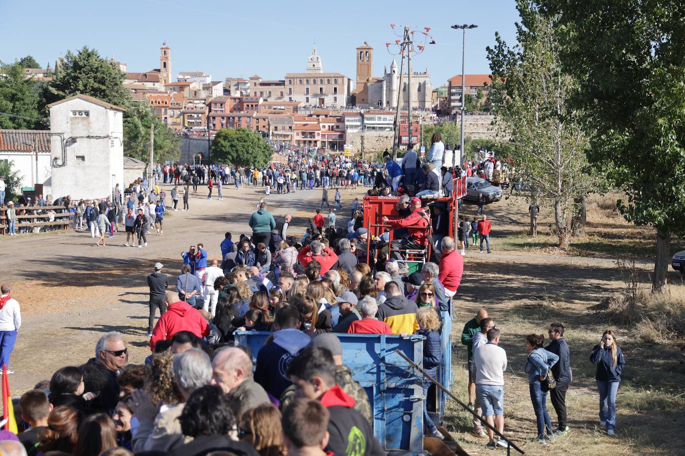 El festejo del Toro de la Vega 2024 en imágenes