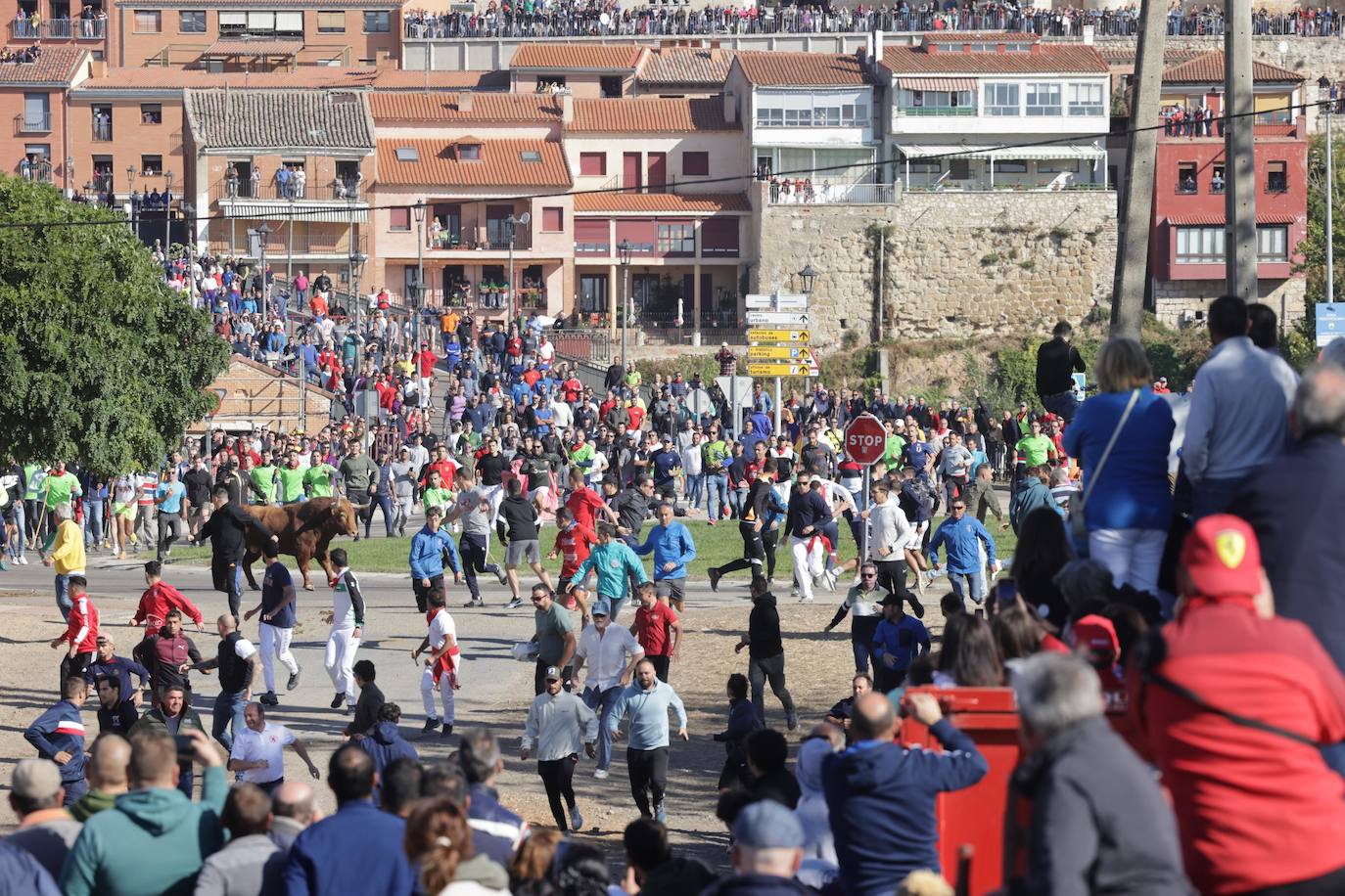 El festejo del Toro de la Vega 2024 en imágenes