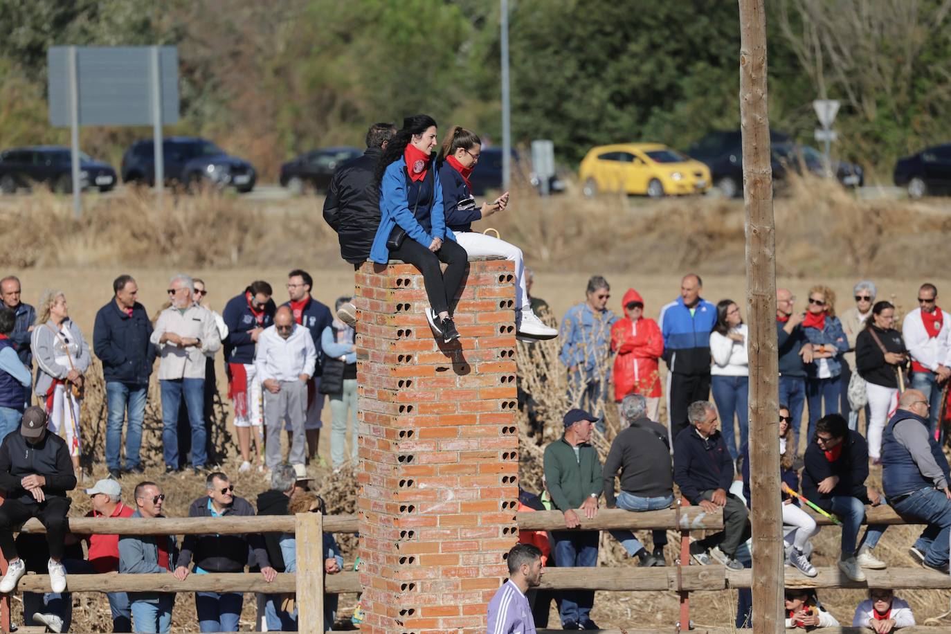 El festejo del Toro de la Vega 2024 en imágenes