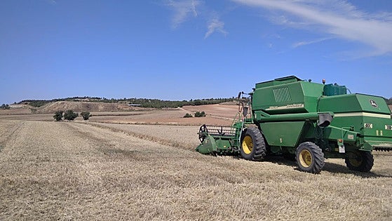 Subida de dos euros de trigo y cebada en León