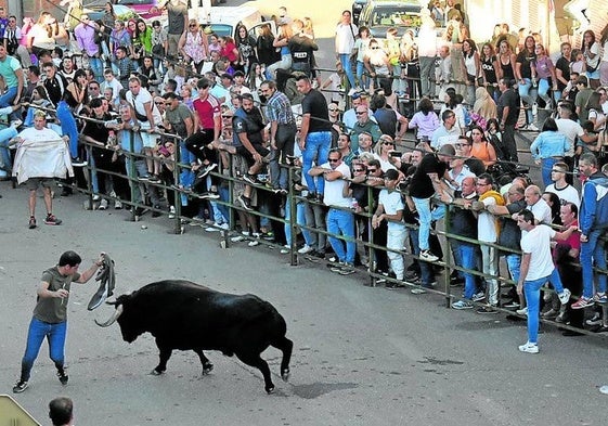 Los festejos taurinos son un plato fuerte de la Feria del Vino y la Fiesta de la Vendimia de Cigales.