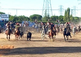 Entrada de toros y caballistas a la zona del embudo, esta mañana en Tordesillas.