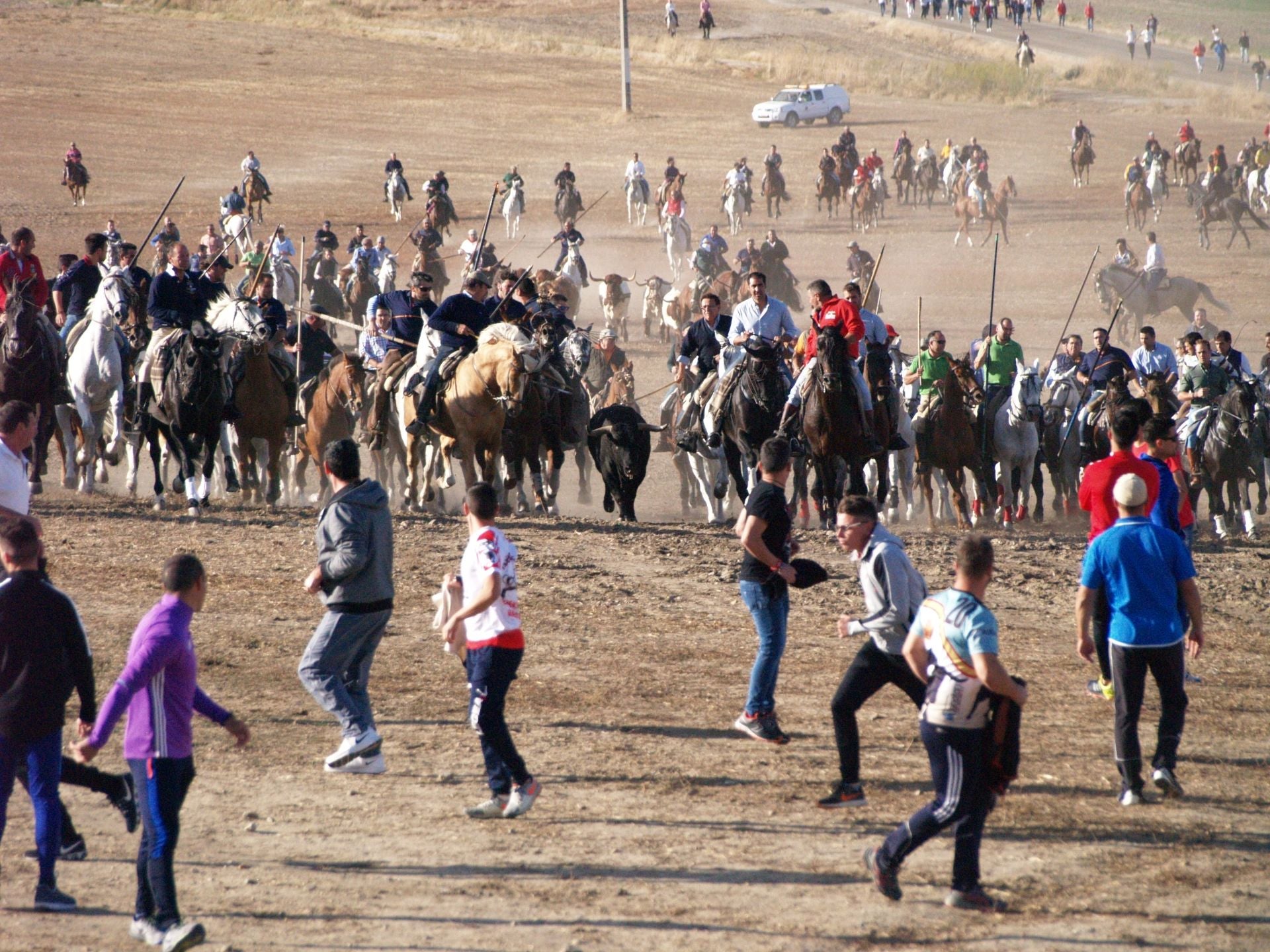 Caballistas durante uno de los encierros tradicionales al estilo de la villa de Olmedo.