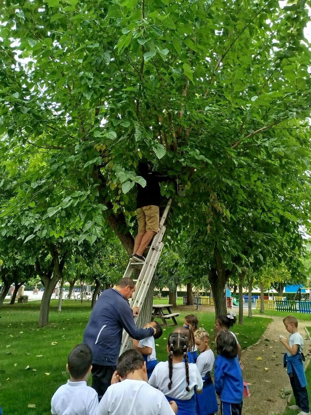 Casasola de Arión se convierte en un aula al aire libre