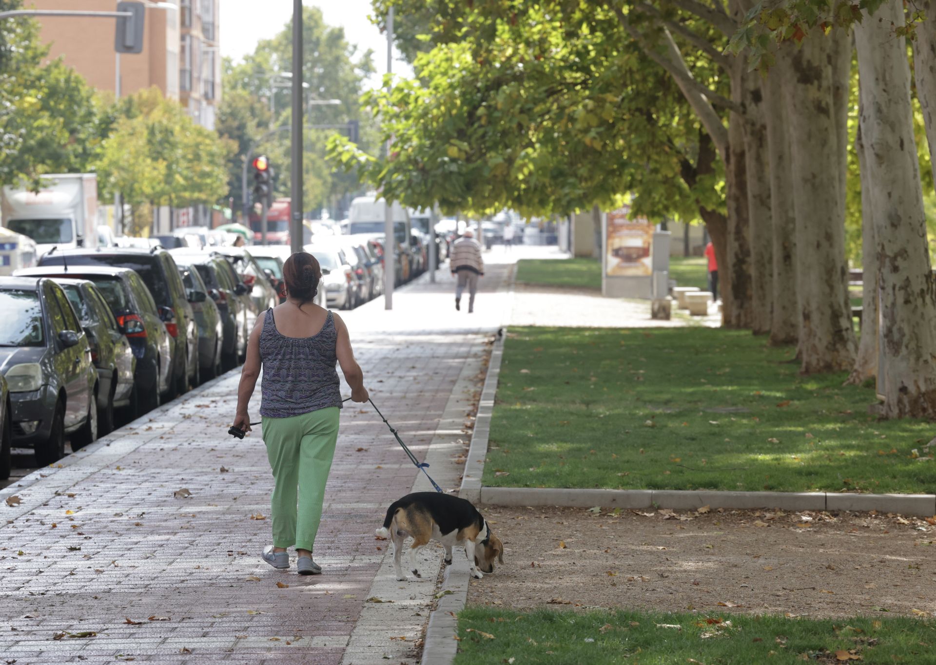 Una mujer pasea a su perro en la calle Arca Real.
