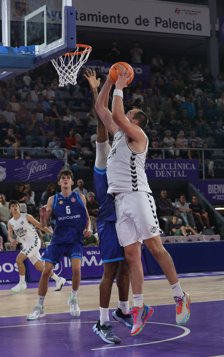 El Palencia Baloncesto arrasa al filial del Gran Canaria