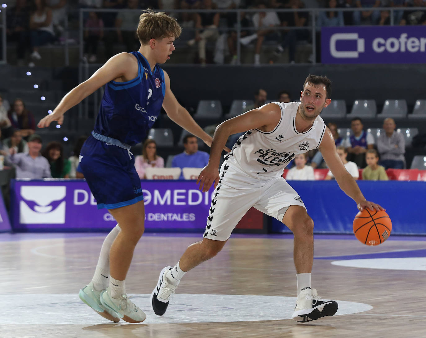 El Palencia Baloncesto arrasa al filial del Gran Canaria