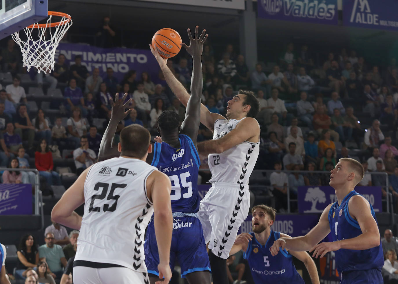 El Palencia Baloncesto arrasa al filial del Gran Canaria